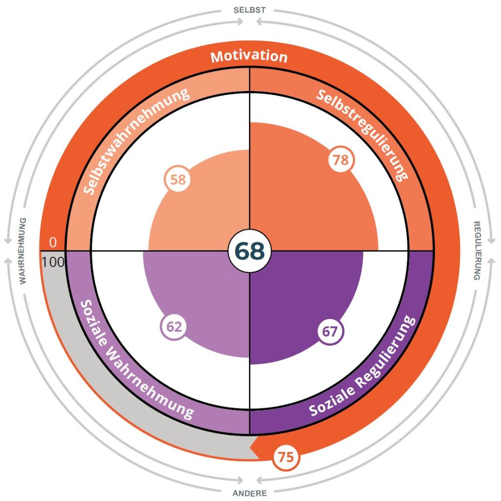 Visualisierung der emotionalen Intelligenz